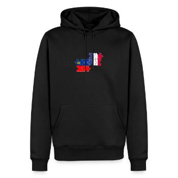 Liechtenstein Frankreich Flagge Liechtensteiner - Männer Premium Bio Hoodie - Schwarz - Vorne - Nico (187cm)