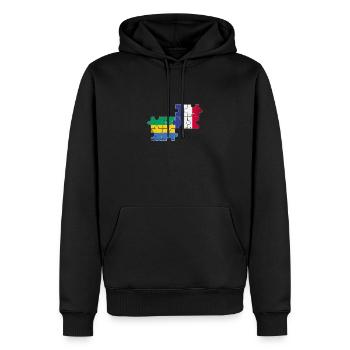 Gabun Frankreich Vintage Flagge Gabuner - Männer Premium Bio Hoodie - Schwarz - Vorne - Nico (187cm)