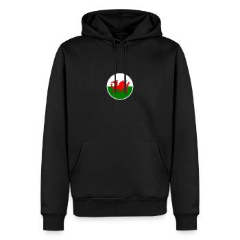 Wales Walisische Flagge Waliser - Männer Premium Bio Hoodie - Schwarz - Vorne - Nico (187cm)