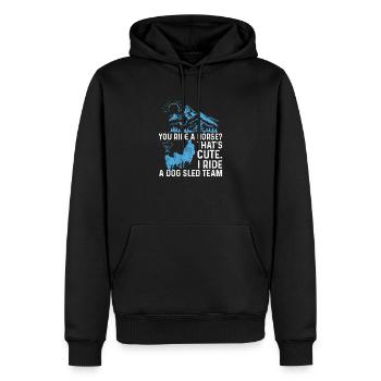 I Ride A Dog Sled Team Funny Mushing Sled Dog - Men’s Premium Organic Hoodie - black - Front - Nico (187cm)