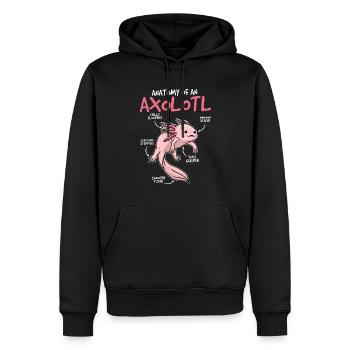 Anatomie Eines Axolotl Lustiges Haustier - Männer Premium Bio Hoodie - Schwarz - Vorne - Nico (187cm)