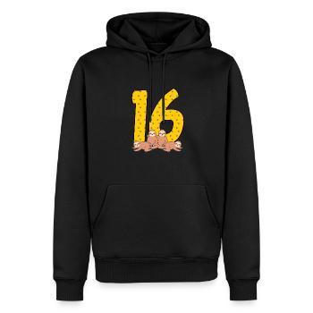 16. Geburtstag - Männer Premium Bio Hoodie - Schwarz - Vorne - Nico (187cm)
