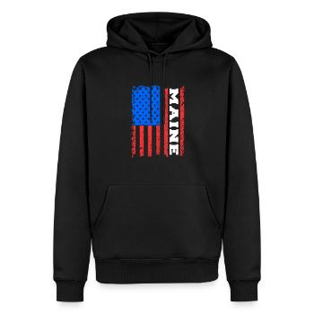 Cadeau drapeau Maine Usa - Sweat à capuche Premium bio Homme - noir - Devant - Nico (187cm)