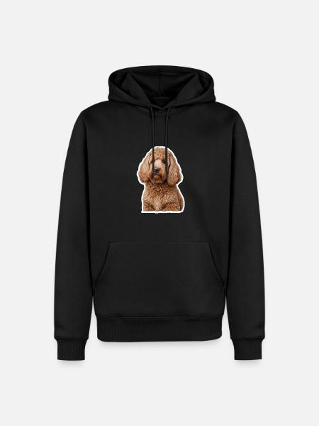 Caniche - Sweat à capuche Premium bio Homme - noir