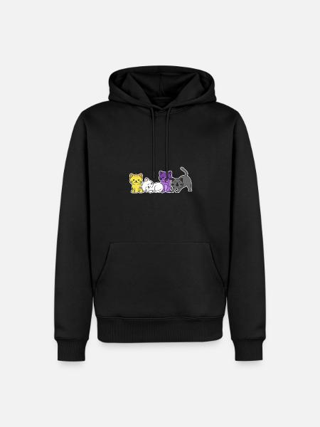 Nichtbinäres Flaggenkatzen-Design für stolze Enbys - Ekologisk premiumluvtröja herr - svart