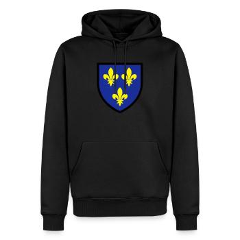 Blason Ile de France (T) - Sweat à capuche Premium bio Homme - noir - Devant - Nico (187cm)