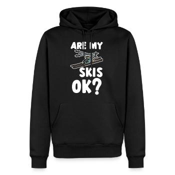 Are My Skis Ok 2 - Männer Premium Bio Hoodie - Schwarz - Vorne - Nico (187cm)