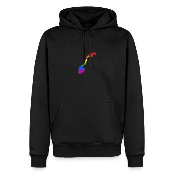Norwegen Regenbogenflagge für stolze LGTB-Norweger - Männer Premium Bio Hoodie - Schwarz - Vorne - Nico (187cm)