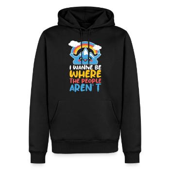 Endroit préféré sans les gens Montagnes Rainbow tranquillité - Sweat à capuche Premium bio Homme - noir - Devant - Nico (187cm)
