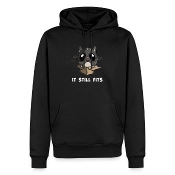 Il correspond toujours - chat dans le carton - Sweat à capuche Premium bio Homme - noir - Devant - Nico (187cm)
