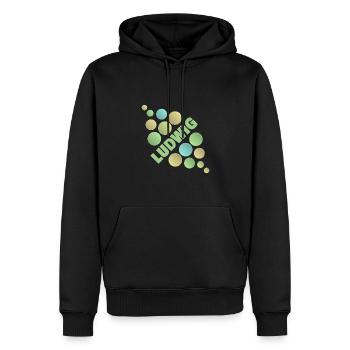 Vorname Ludwig - Männer Premium Bio Hoodie - Schwarz - Vorne - Nico (187cm)