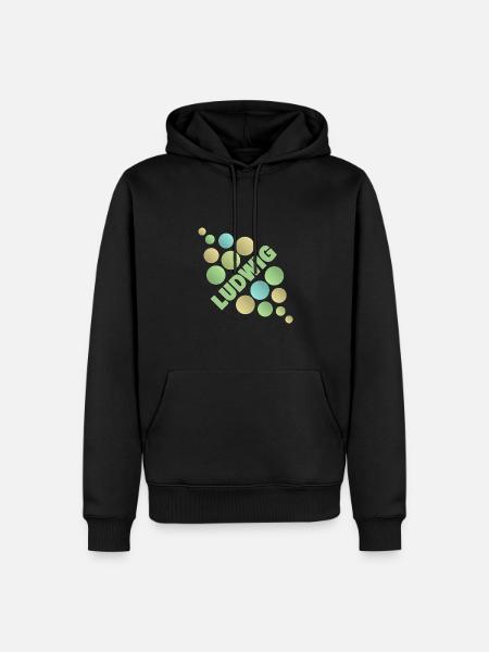 First name Ludwig - Men’s Premium Organic Hoodie - black