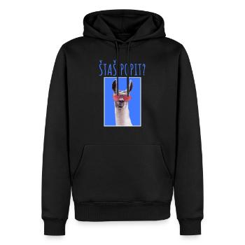 ŠTAŠ POPIT MAJICA - Männer Premium Bio Hoodie - Schwarz - Vorne - Nico (187cm)