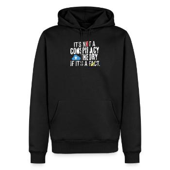 Faits sur la théorie du complot - Sweat à capuche Premium bio Homme - noir - Devant - Nico (187cm)