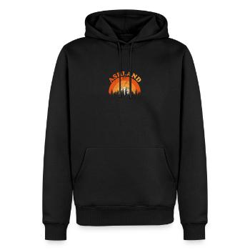 Vintage Ashland Oregon Fan rétro Cool coucher de soleil - Sweat à capuche Premium bio Homme - noir - Devant - Nico (187cm)