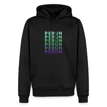 Perun slawische Mythen heidnischer Pagan Slavic - Männer Premium Bio Hoodie - Schwarz - Vorne - Nico (187cm)