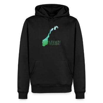 norway - Sweat à capuche Premium bio Homme - noir - Devant - Nico (187cm)
