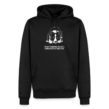The Directional Expert - Men’s Premium Organic Hoodie - black - Front - Nico (187cm)