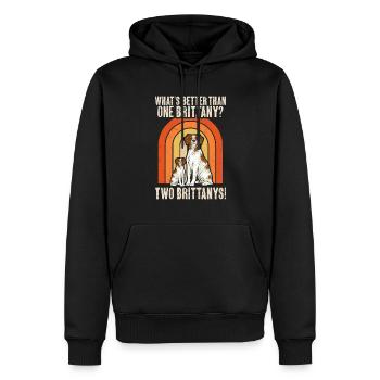 French Brittany Spaniel Epagneul Breton Geschenk - Männer Premium Bio Hoodie - Schwarz - Vorne - Nico (187cm)