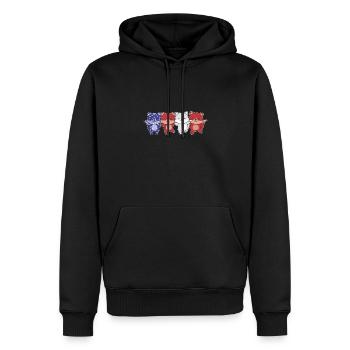 Fuchs für den vierten Juli USA Flagge Füchse - Männer Premium Bio Hoodie - Schwarz - Vorne - Nico (187cm)