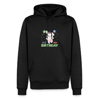 Lapin pour anniversaire pour les enfants c’est mon anniversaire - Sweat à capuche Premium bio Homme - noir - Devant - Nico (187cm)
