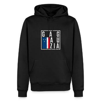 Gagaouzie - Sweat à capuche Premium bio Homme - noir - Devant - Nico (187cm)