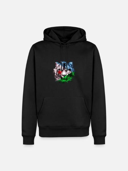 Djibouti - Men’s Premium Organic Hoodie - black