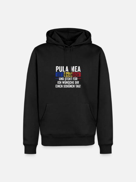 Romanian Romania Romania - Men’s Premium Organic Hoodie - black