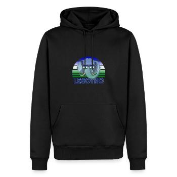 Lesotho - Sweat à capuche Premium bio Homme - noir - Devant - Nico (187cm)