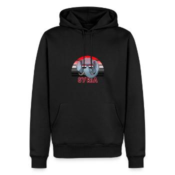 Syrien - Männer Premium Bio Hoodie - Schwarz - Vorne - Nico (187cm)