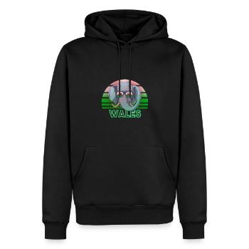 Wales - Männer Premium Bio Hoodie - Schwarz - Vorne - Nico (187cm)