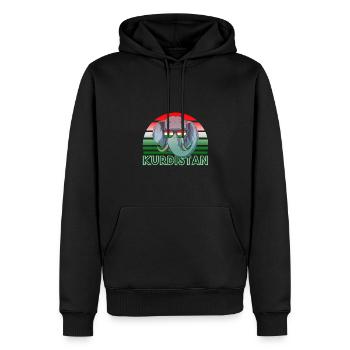 Kurdistan - Sweat à capuche Premium bio Homme - noir - Devant - Nico (187cm)