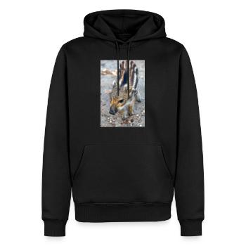 Sanglier (Sus scrofa) dans la forêt - Sweat à capuche Premium bio Homme - noir - Devant - Nico (187cm)