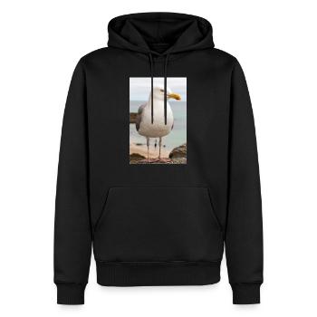 Goéland argenté (Larus argentatus) sur la plage de Goéland - Sweat à capuche Premium bio Homme - noir - Devant - Nico (187cm)