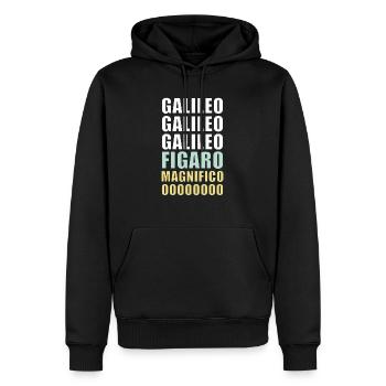 Galileo Figaro Magnificent - Männer Premium Bio Hoodie - Schwarz - Vorne - Nico (187cm)