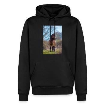 pony exmoor - Men’s Premium Organic Hoodie - black - Front - Nico (187cm)