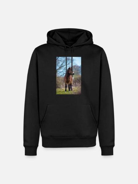 pony exmoor - Men’s Premium Organic Hoodie - black