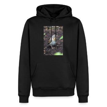 Fieldfare (auf Deutsch Wacholderdrossel) Turdus pila - Männer Premium Bio Hoodie - Schwarz - Vorne - Nico (187cm)