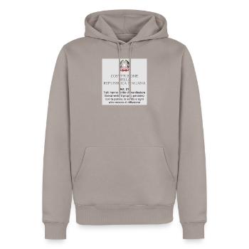 Article 21 Italian Constitution - Men’s Premium Organic Hoodie - taupe - Front - Nico (187cm)