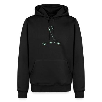 Fische, Stern, Sternbild, Tierkreiszeichen Grün - Männer Premium Bio Hoodie - Schwarz - Vorne - Nico (187cm)