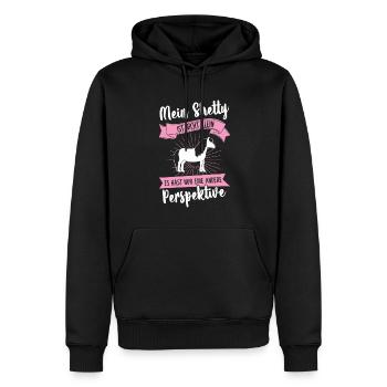 Isländer Pferd Reiter Geschenk - Männer Premium Bio Hoodie - Schwarz - Vorne - Nico (187cm)