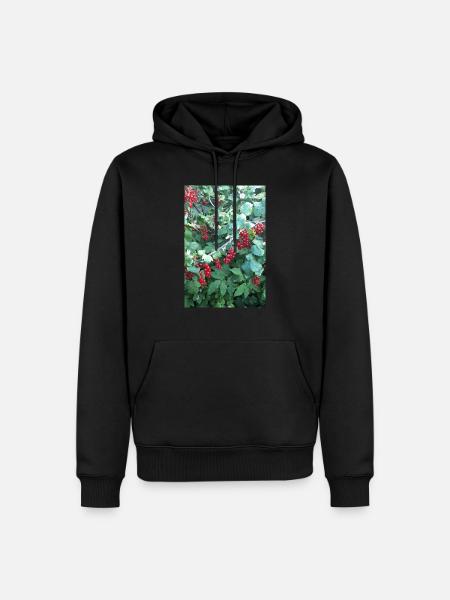 Red currants on shrub - Men’s Premium Organic Hoodie - black
