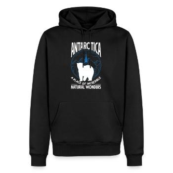 A place of incredible natural wonders Expedition - Men’s Premium Organic Hoodie - black - Front - Nico (187cm)