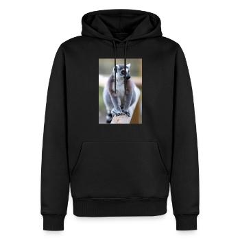 Lémurien à queue annelée (en allemand Katta) Lémurien catta - Sweat à capuche Premium bio Homme - noir - Devant - Nico (187cm)