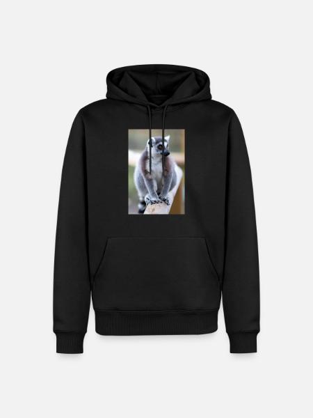Kattas Lemur catta - Männer Premium Bio Hoodie - Schwarz