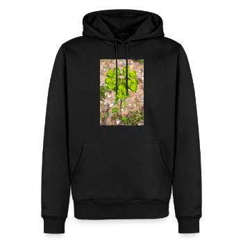 blühende bunte Wolfsmilch (Euphorbia) Blume - Männer Premium Bio Hoodie - Schwarz - Vorne - Nico (187cm)