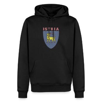 Istrien Flagge Hrvatska Balkan Kroatien Reise Urla - Männer Premium Bio Hoodie - Schwarz - Vorne - Nico (187cm)