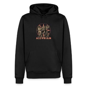 Lamassu Persien Faravahar Babylon Assyrien Antik - Männer Premium Bio Hoodie - Schwarz - Vorne - Nico (187cm)