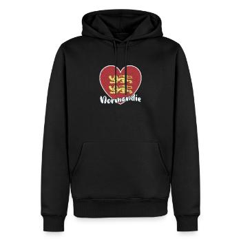 Frankreich Normandie Region Falgge Reise Urlaub - Männer Premium Bio Hoodie - Schwarz - Vorne - Nico (187cm)