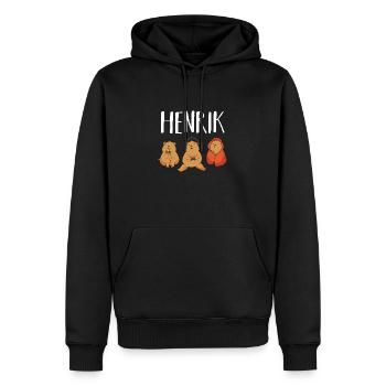 Gamer Zocker Zocken Gaming Henrik - Sweat à capuche Premium bio Homme - noir - Devant - Nico (187cm)